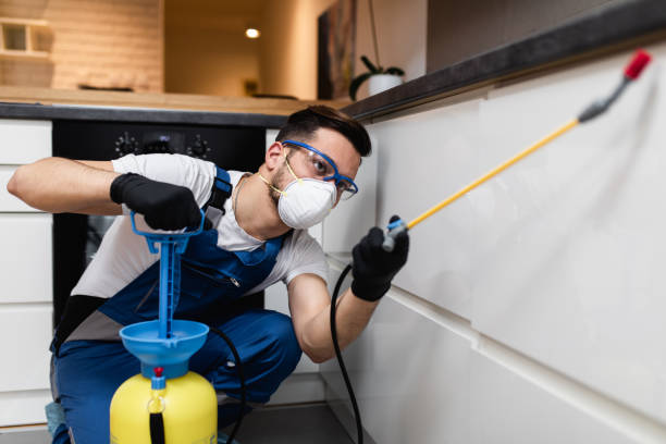 Best Best Pest Control Companies  in Sullivan City, TX